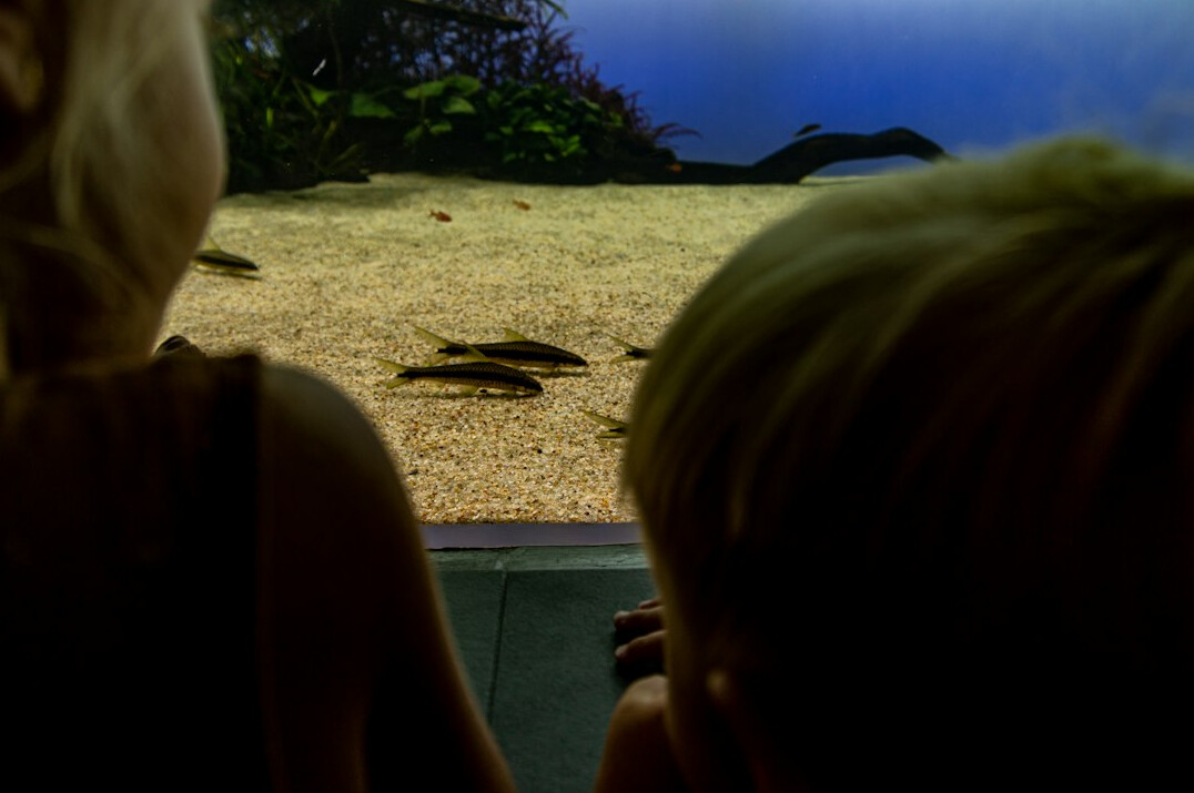 children watching old tv show